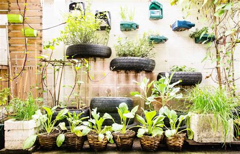Urban gardening. Things To Know About Urban gardening. 